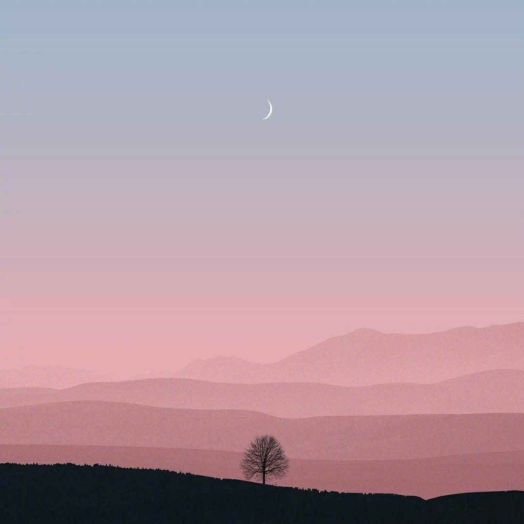 黄丽