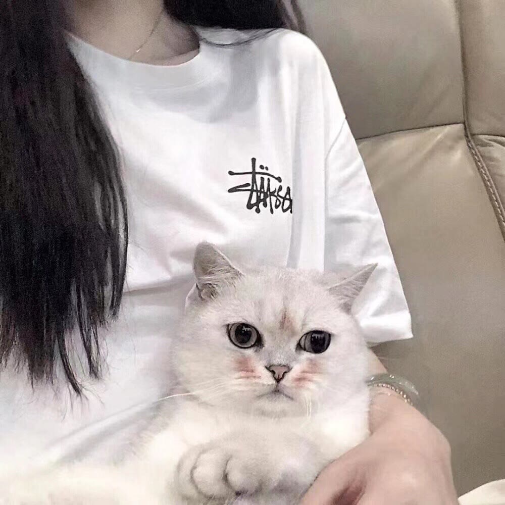 何秀兰