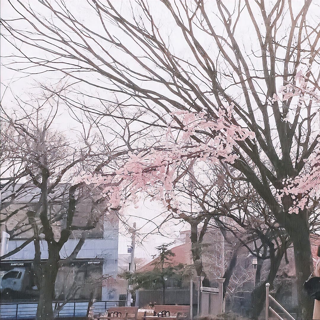 徐静芳