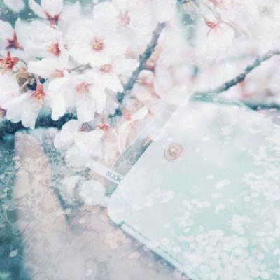 邓欣
