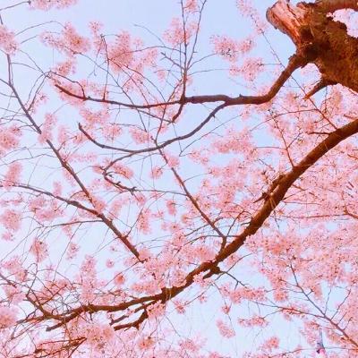 何霞娜