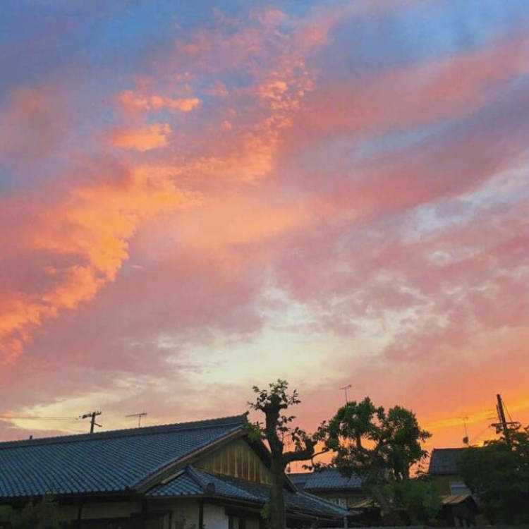 高伟