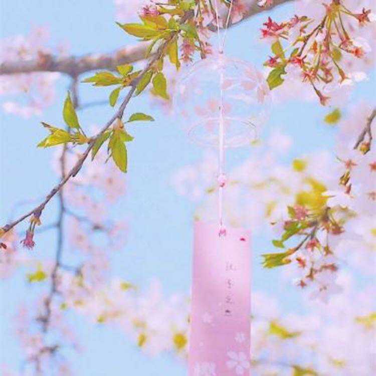苏明俊