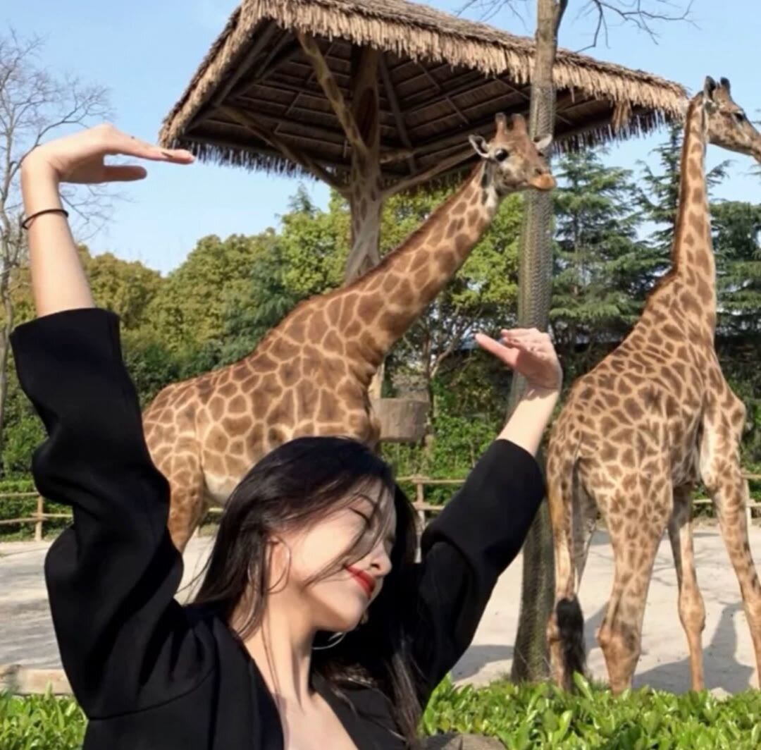 彭婷