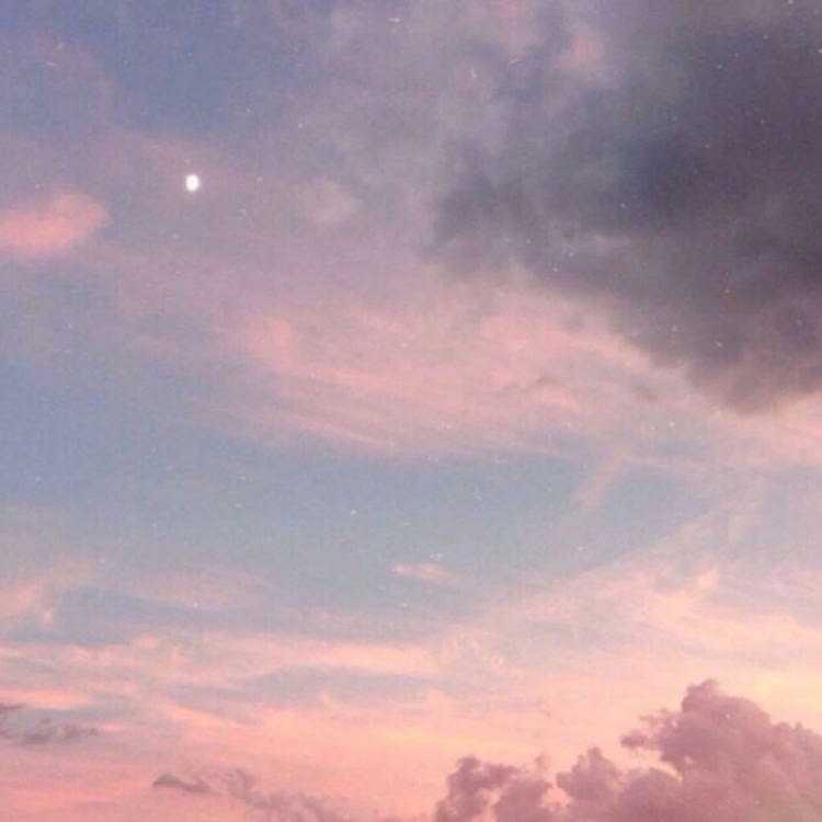 梁晶