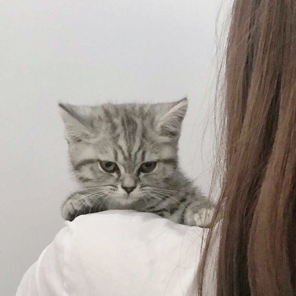 张云
