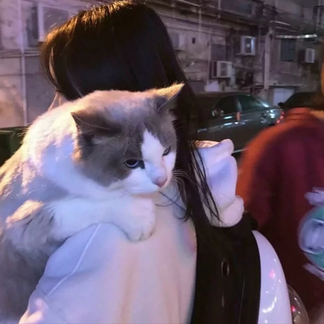 田芳