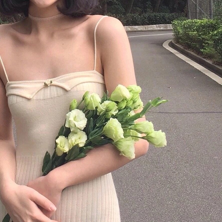 董雅