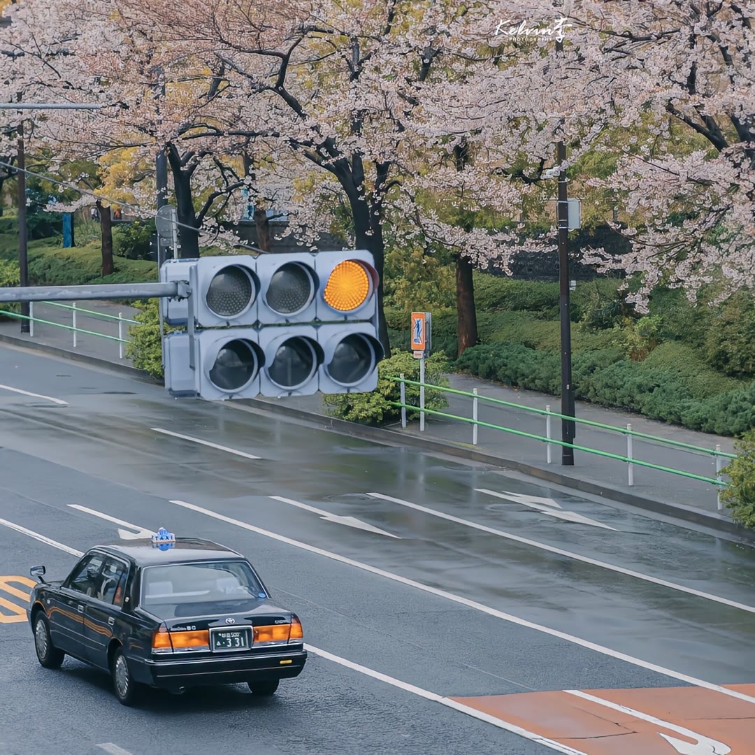 林芳