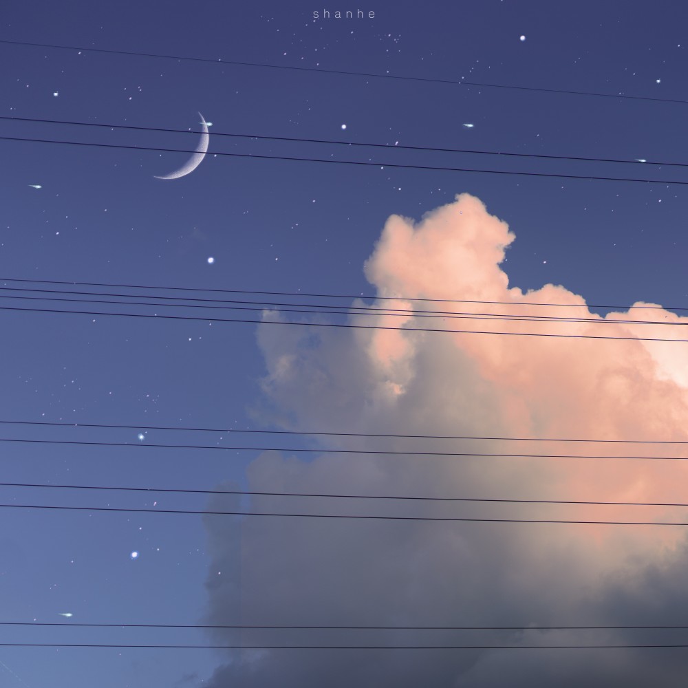 杨龙