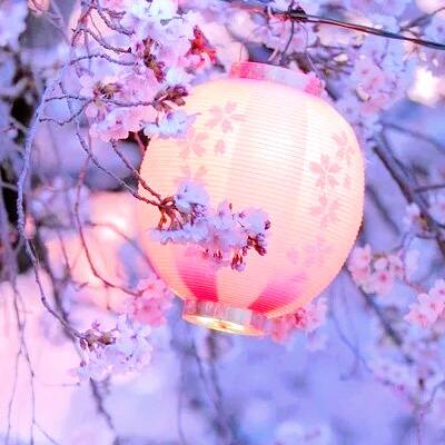 曾华