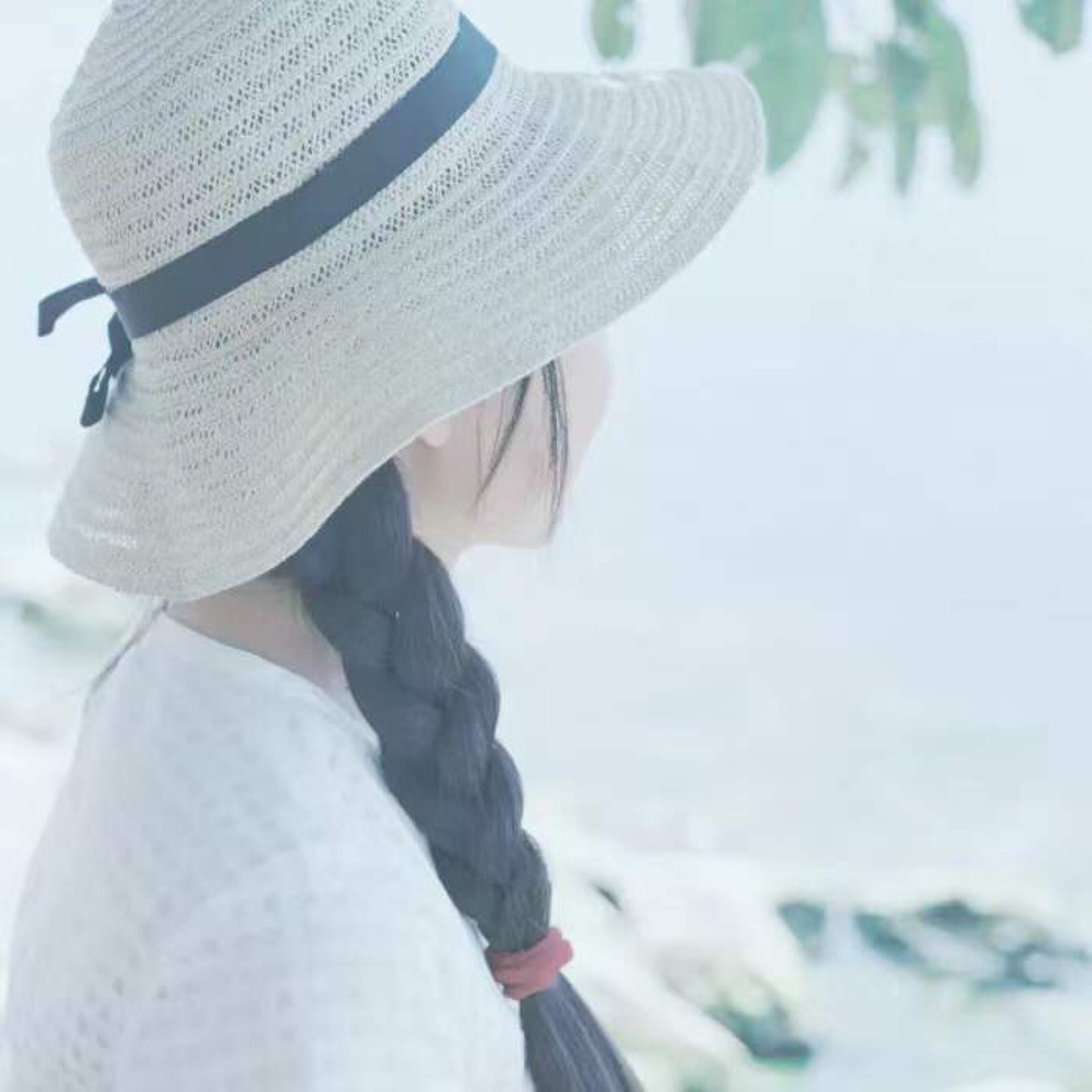 董晶