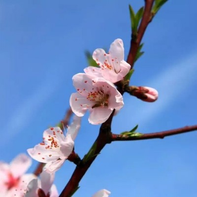 许洋