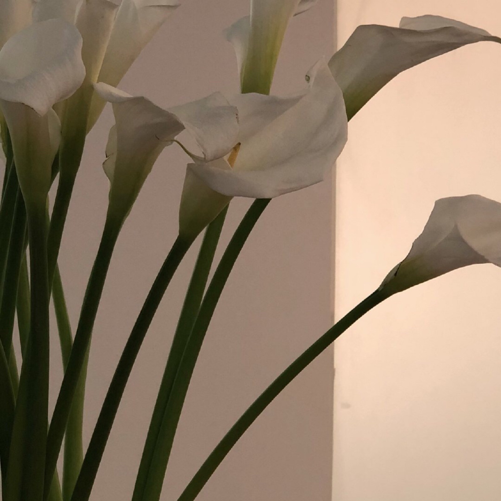 许浩