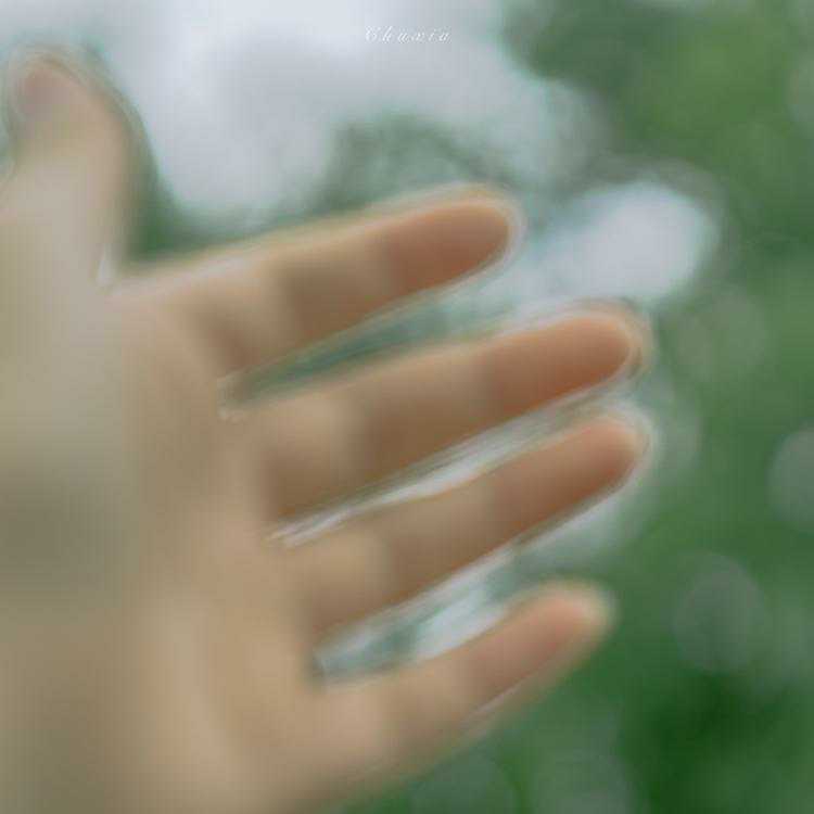 黄蕾