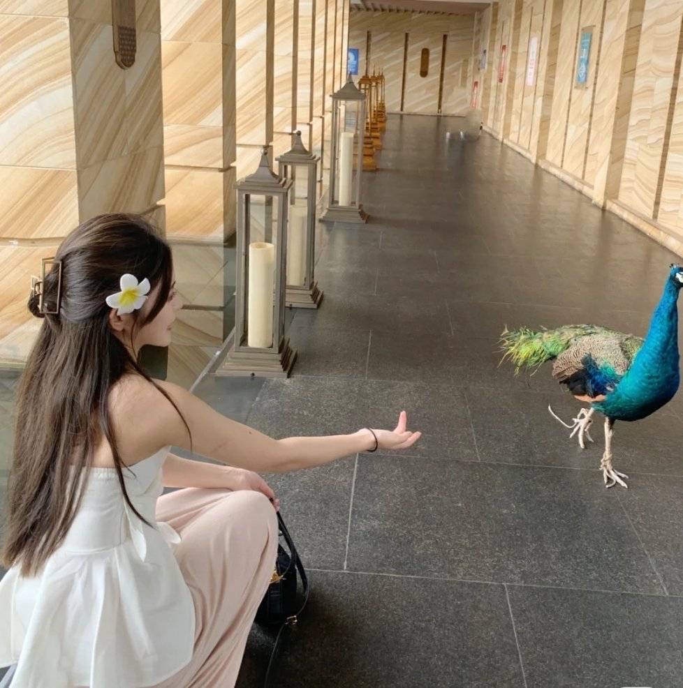 蒋玲