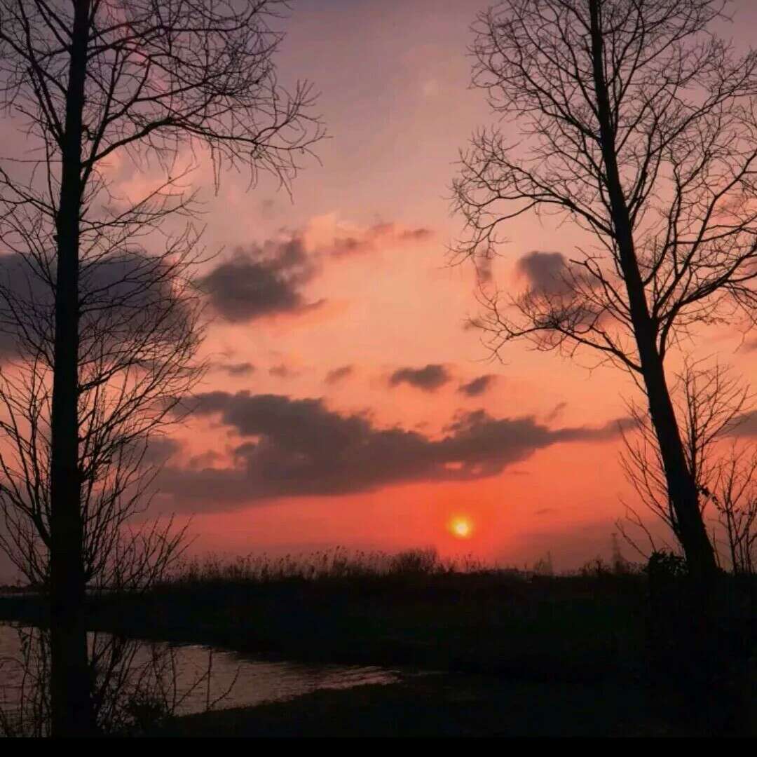 刘燕