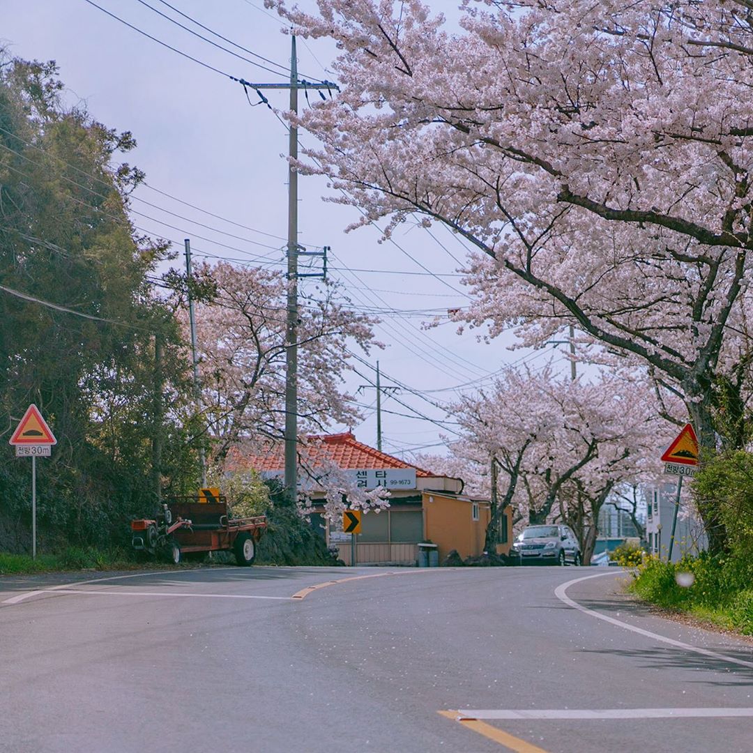 朱博