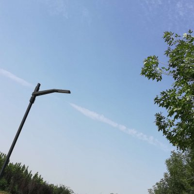 陈慧秀兰