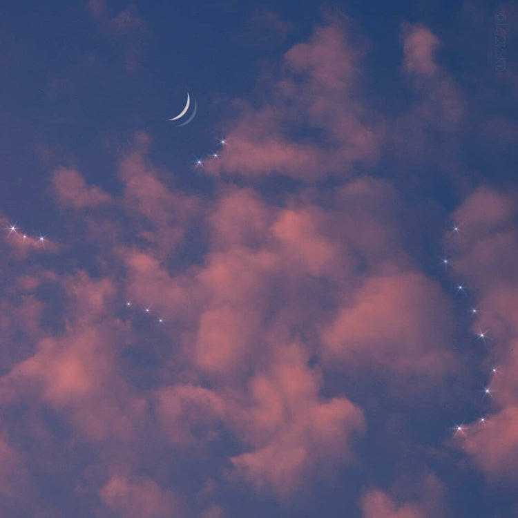 郭涛