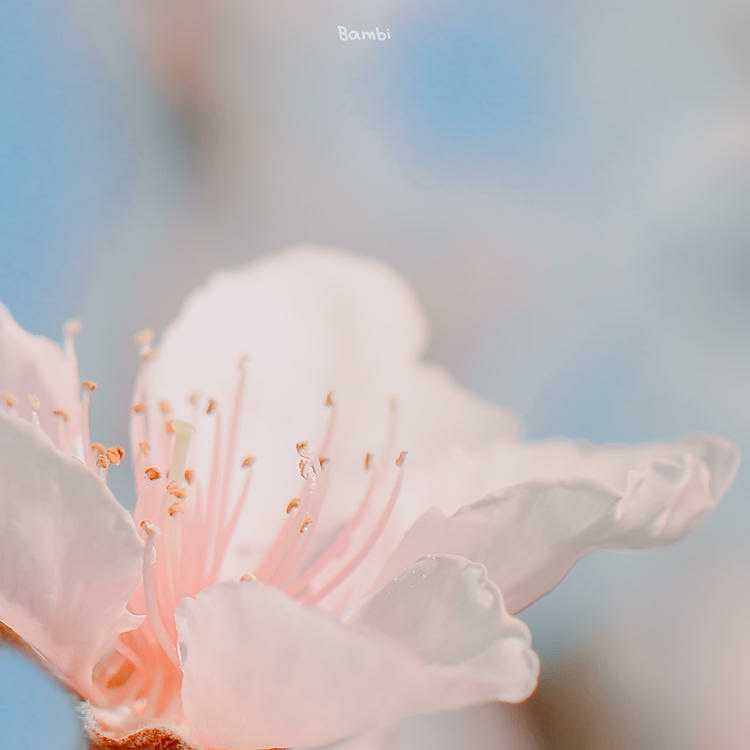 任勇