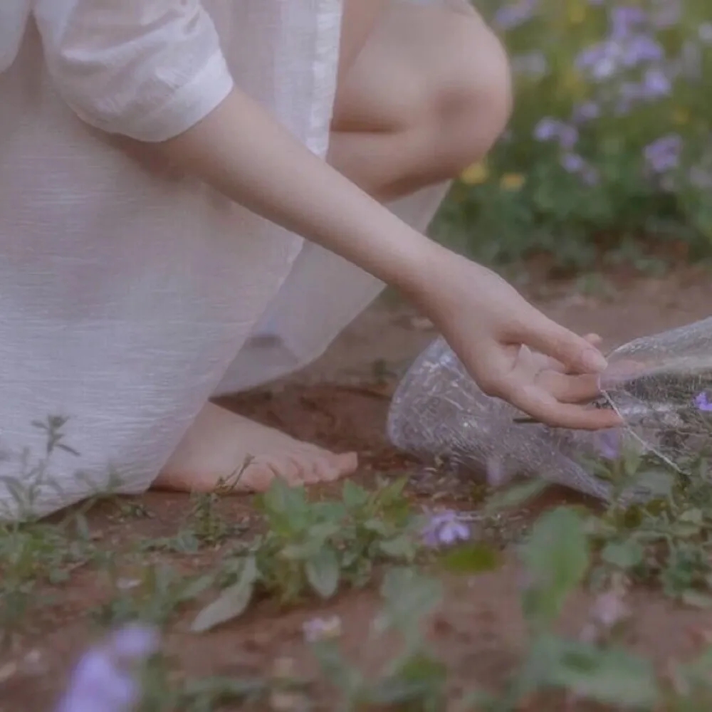 杨辉