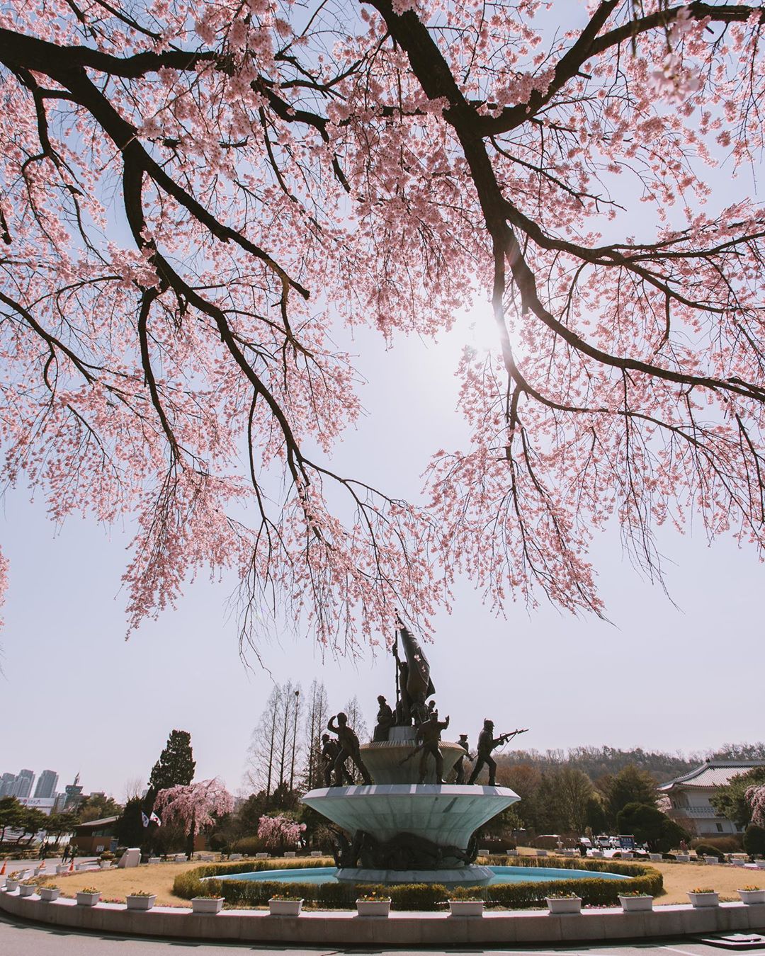 许洋