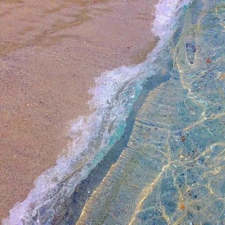 蔡浩