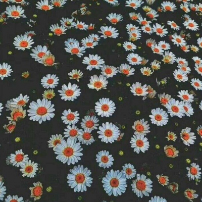 蒋秀兰