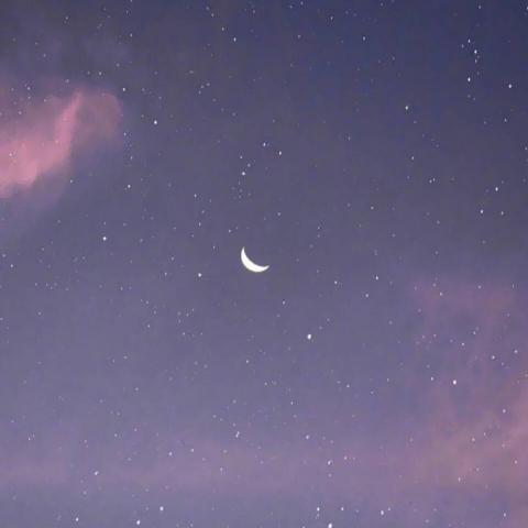 余静