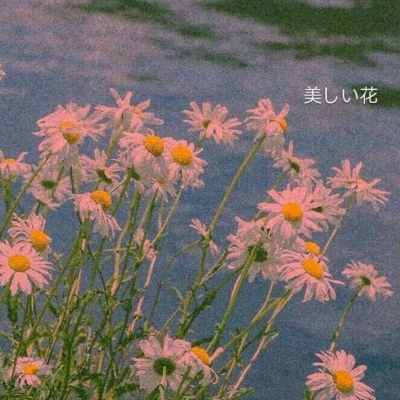 许萍云