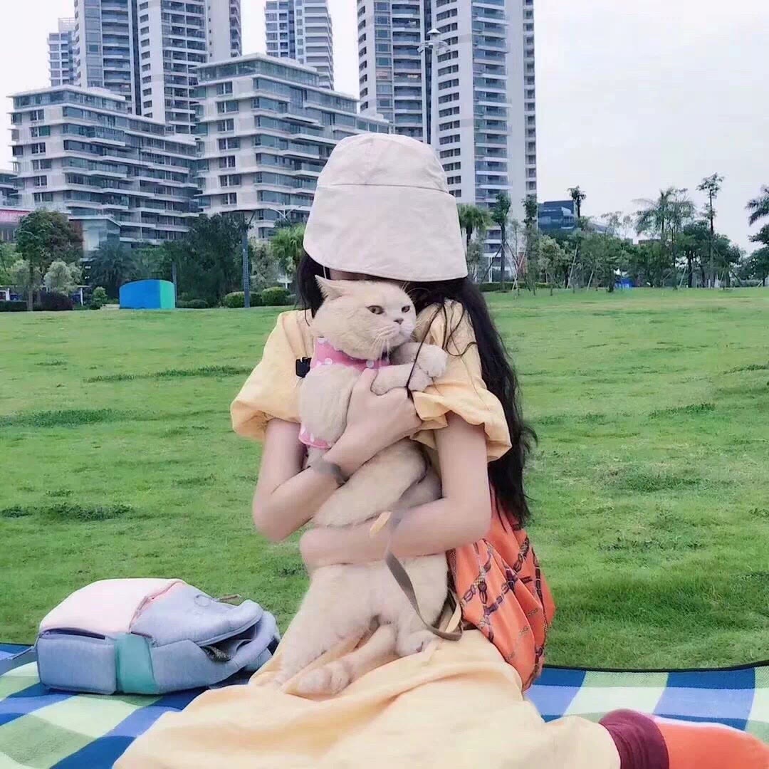 杨萍