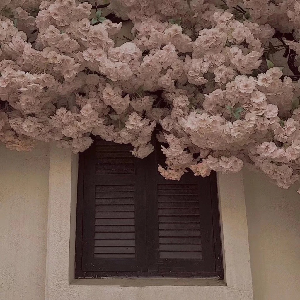 徐琳雅