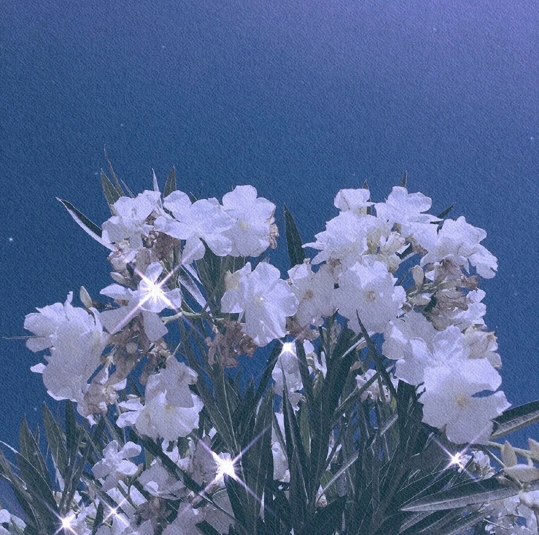 潘昊